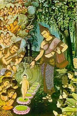 thai-lifbud-03.webp (73630 bytes)