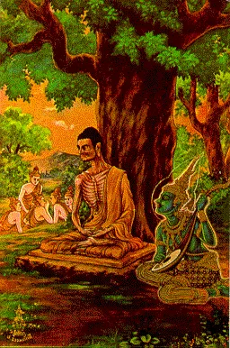 thai-lifbud-12.webp (47820 bytes)