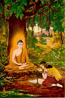 thai-lifbud-13.webp (57196 bytes)