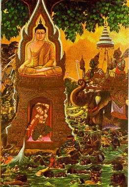 thai-lifbud-14.webp (56571 bytes)