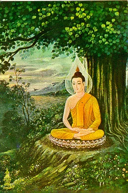 thai-lifbud-15.webp (58887 bytes)