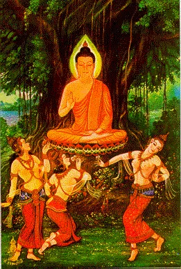 thai-lifbud-16.webp (50225 bytes)