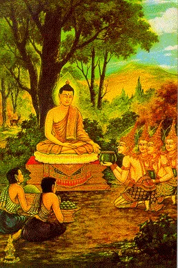 thai-lifbud-17.webp (48412 bytes)