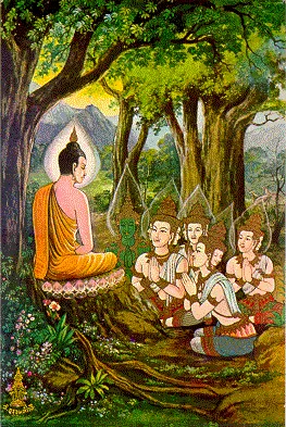 thai-lifbud-18.webp (66917 bytes)