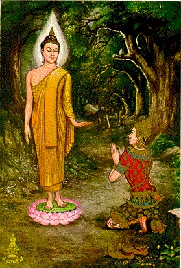 thai-lifbud-20.webp (51900 bytes)