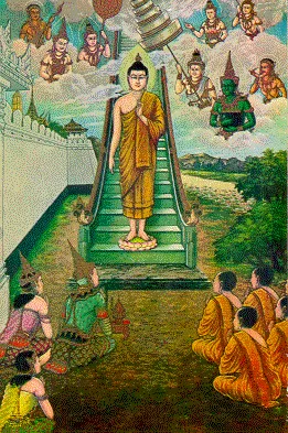 thai-lifbud-29.webp (63198 bytes)
