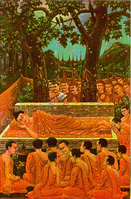 thai-lifbud-31.webp (53707 bytes)