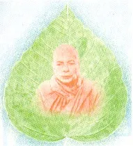 ths-mgok.webp (15736 bytes)